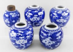 GROUP OF CHINESE BLUE & WHITE PORCELAIN HAWTHORN JARS, Qing Dynasty and later, all decorated with