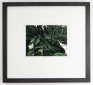 ANN LEWIS limited edition (5/10) linocut - 'Yr Ynys', signed in pencil, 16 x 22cms Condition Report: