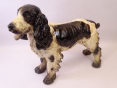 VICTORIAN PLASTER MODEL OF A COCKER SPANIEL, 36cms H,46cms L