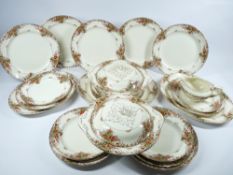 BURGESS DINNERWARE approximately 30 pieces