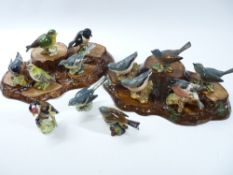 BESWICK GARDEN BIRDS COLLECTION (13) with accompanying plinths (2)