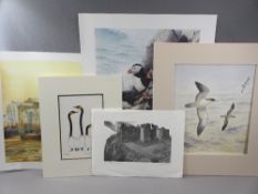 PHILLIP SNOW watercolour - titled 'Cory's and Great Shearwaters' signed and dated '93, 31.5 x 26cms,