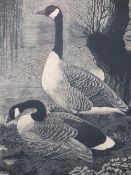 CHARLES FREDERICK TUNNICLIFFE limited edition print 17/50 titled - 'Canadas in Cheshire 1939', 33