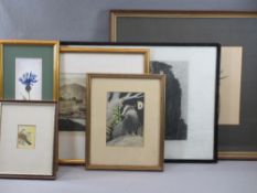 ANTIQUE PRINTS & WATERCOLOURS (6) including an unattributed watercolour titled - T. Dove in May, 6 x