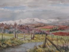 FAWKES 1966 watercolour - country lane and gate with snowcapped hills to the background, signed