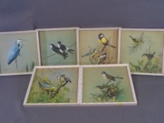 J F LANSDOWNE 1962 prints - set of six, various ornithological scenes, 25 x 25cms AND a very large