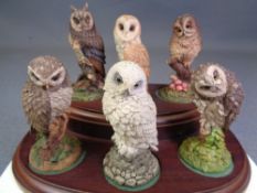 ROYAL DOULTON collection of British Owls, six figures on a wooden plinth with literature, 13.5cms