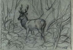 CHARLES FREDERICK TUNNICLIFFE OBE RA preliminary drawing in charcoal - stag in woodland, signed,