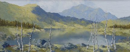 CHARLES WYATT WARREN oil on board - Llyn Gwynant with silver birch trees, signed, 23 x 54cms