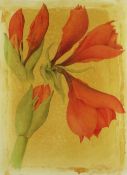 SIGRID MULLER mixed media - entitled verso on Attic Gallery Swansea label 'Amaryllis Study', signed,