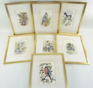 CHARLES FREDERICK TUNNICLIFFE OBE RA (1901-1979) seven watercolour studies of British birds -
