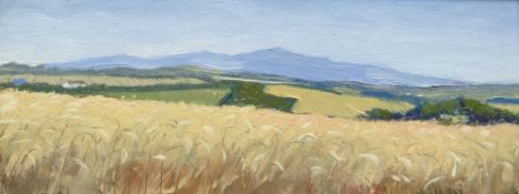 THOMAS HASKETT oil on board - landscape with cornfield, signed with initials, 11 x 30cms Provenance: