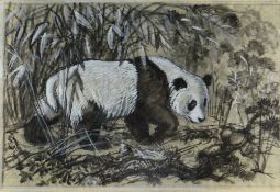 CHARLES FREDERICK TUNNICLIFFE OBE RA preliminary drawing in mixed media - study of a panda, 47 x
