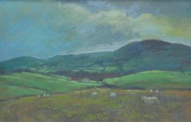 ANEURIN JONES oil on board - Welsh landscape with sheep and distant farm, 37 x 57cms Provenance: