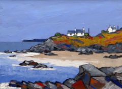 DAVID BARNES oil on canvas board - Ynys Mon with whitewashed cottages on cliff tops, entitled