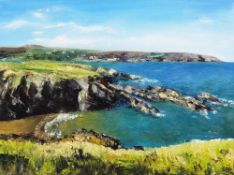 LARA SMITH oil on canvas - expansive coastline with sandy bay, entitled verso on Albany Gallery