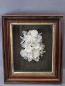 VICTORIAN MOURNING FEATHER WREATH in a shadow box case, 47 x 39.75cms overall measurements