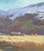 GARETH THOMAS oil on board - Welsh mountain with cottage, signed, unframed, 29 x 25.5cms