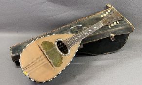 MUSICAL INSTRUMENT - Italian mandolin by 'Carlo Giuseppe Picino' in a vintage case