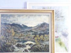 MOSS WILLIAMS oil on canvas laid on board titled verso - 'Cwm Pennant from Dolbenmaen, evening',