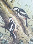 RALPH WATERHOUSE coloured limited edition print (478/750) - two woodpeckers on the trunk of a