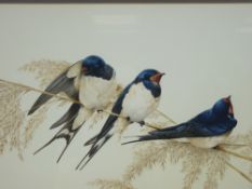 TERENCE LAMBERT fine watercolour - three swallows perched on corn stalks, signed, 26 x 46cms