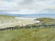 OWEN MEILIR oil on board - coastal scene with red roofed cottage, signed, 42 x 55cms