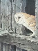 RALPH WATERHOUSE coloured guild stamped print - alert Barn owl peering out of a hole in timbers,