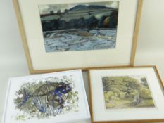 THREE FRAMED PICTURES: (1) JASON HODGES limited edition (1/20) digital print on white paper - fish