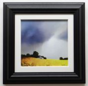 BARRY HILTON embellished limited edition (178/195) giclee print canvas on board - entitled verso '