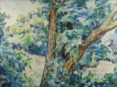 EVAN WALTERS watercolour - tree and woodland, signed and dated '31, 55.5 x 75.5cms Provenance: