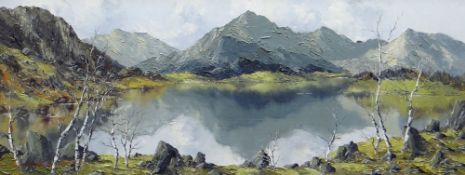CHARLES WYATT WARREN oil on board - expansive lake scene below Snowdon with silver birch trees,