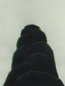 DAVID NASH OBE RA mixed media on paper - entitled verso 'Yews at Powys Castle', dated 2000,