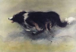 WILLIAM SELWYN artist proof colour print - a speeding sheep dog, signed in full, 40 x 56cms