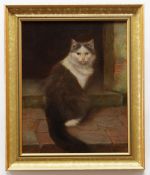 WILHELM SCHWAR (German, 1860-1943) oil on canvas - grey and white cat on the stoop, 50 x 39.5cms