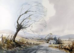 D.J. SWEETINGHAM watercolour - Autumnal scene, landscape with cottage, signed, 48 x 67cms Please