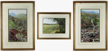 LOUISE SOUTHAN, gouache - Heather on Hillside, Heather by the Falls, 36 x 20cms; and Summer Field,