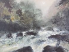 WILLIAM SELWYN limited edition print 102/300 - Snowdonia riverscape, signed in pencil, mounted but