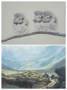 BRYAN REED coloured limited edition print (64/500) - of three little owl chicks on the branch of a