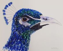 SUE TRUSLER ink and watercolour - entitled 'The Proud Peacock', 28 x 33cms, glazed and framed in