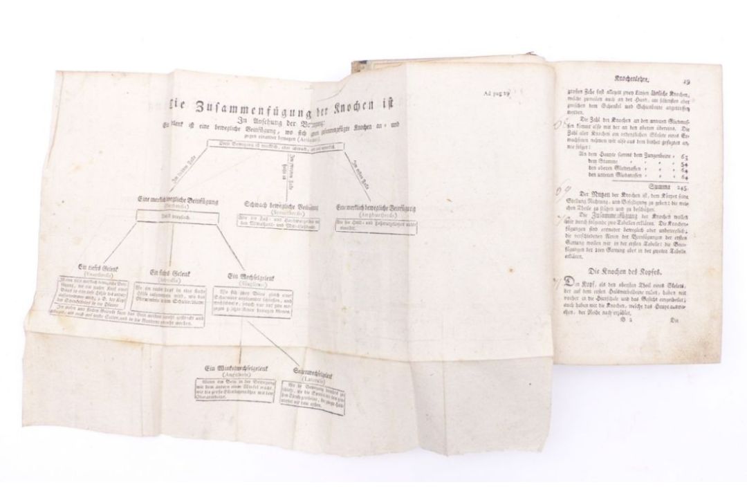 Leber, Ferdinand - Bild 3 aus 3