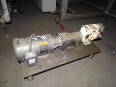 Wrightflow 1 Horsepower Motor and Pump