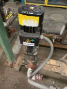Walrus Pump with Motor