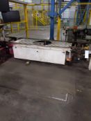 Section of Chain Conveyor