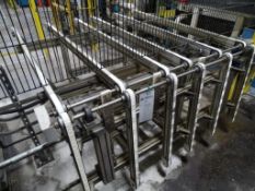 Band Conveyor with Walkthrough Gate