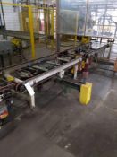 Chain Conveyor