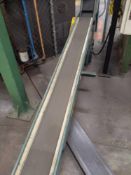 Hytrol Incline Conveyor