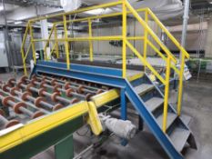 Conveyor Walk-over Platform