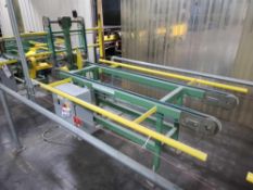 Band Conveyor with Walkthrough Gate