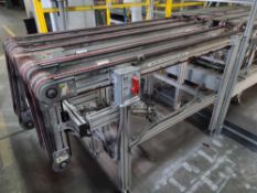Band Conveyor with Aluminum Frame and Walkthrough Gate